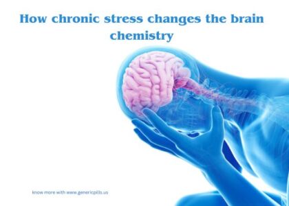 How chronic stress changes the brain chemistry