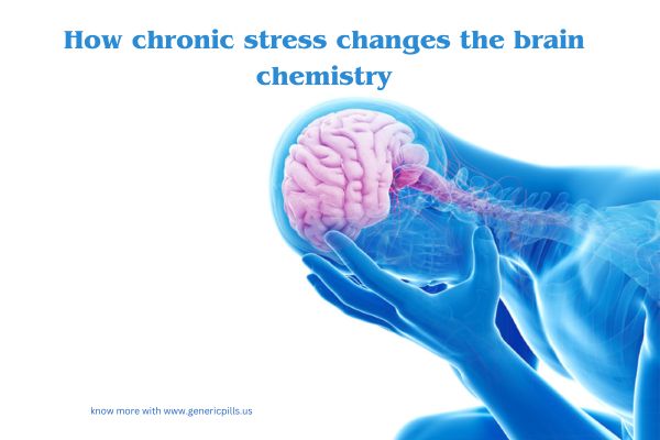 How chronic stress changes the brain chemistry